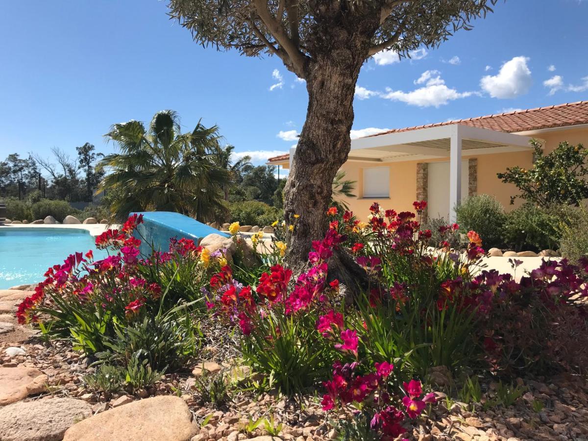 L'Hacienda Piscine chauffée à 28, spa, boulodrome et court de Tennis privés, 2 villas indépendantes Porto Vecchio Esterno foto